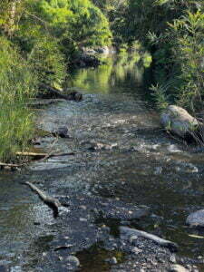 luxury pool villa in coorg private pool villa in coorg
