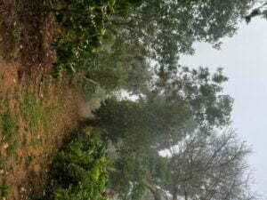 luxury pool villa in coorg nysa estate