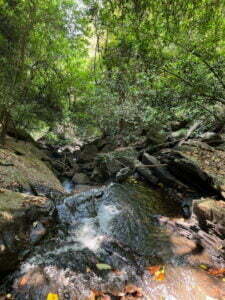 luxury pool villa in coorg coffe estate private pool villa