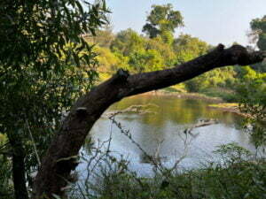 luxury pool villa in coorg coffe estate private pool villa