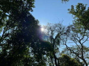 luxury pool villa in coorg nysa estate