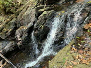 luxury pool villa in coorg nysa estate