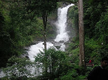 luxury villa in coorg coffe estate private villa