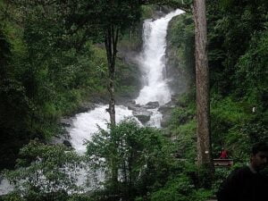 luxury villa in coorg near Irupr falls