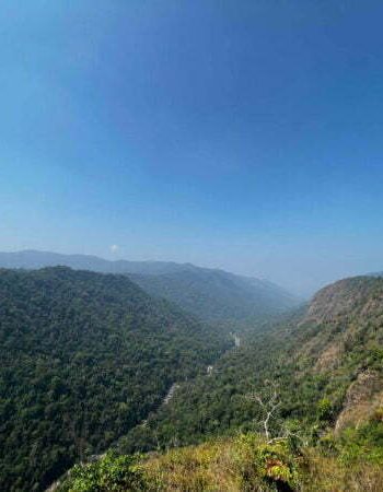 luxury pool villa in coorg coffe estate private pool villa