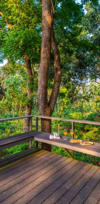 Nysa-Estate-5-bhk-luxury-villa-in-coorg-with-private-pool-and-spacious-rooms-skydeck