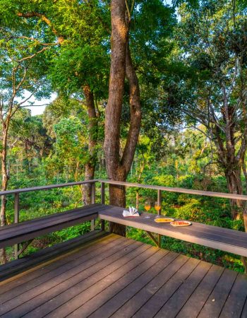 Nysa-Estate-5-bhk-luxury-villa-in-coorg-with-private-pool-and-spacious-rooms-skydeck