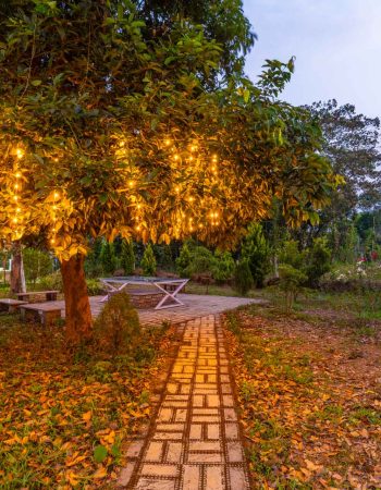 Nysa-Estate-5-bhk-luxury-villa-in-coorg-with-private-pool-and-spacious-rooms-tree-lightings