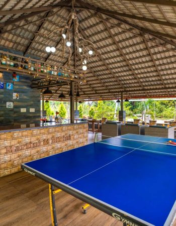 Nysa-Estate-Coorg-5-bhk-villa-in-coorg-with-private-pool-and-spacious-rooms-Martini-Bikini-Bar