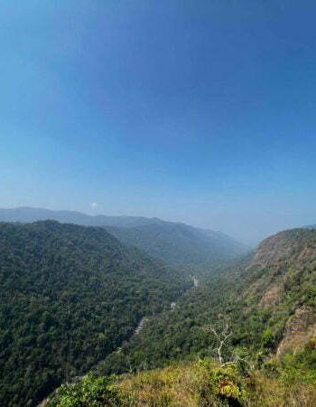 best luxury pool villa in coorg nysa estate