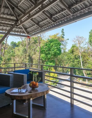 airbnb-pool-villa-coorg-luxury-villa-nysa-estate-deck-view