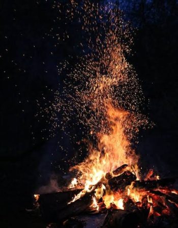 luxury villa in coorg coffe estate private villa