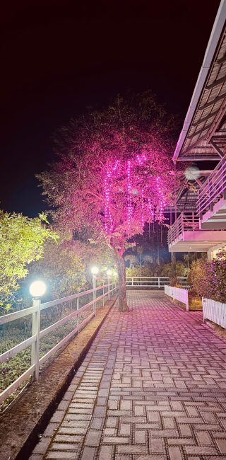 luxury pool villa pathway