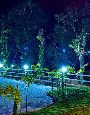 nysa-estate-evening-boundary-lighting