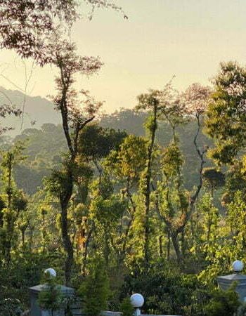 nysa-estate-front-mountain-view