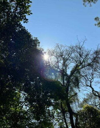 luxury pool villa in coorg nysa estate