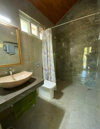 luxury pool villa in coorg coffe estate private pool villa