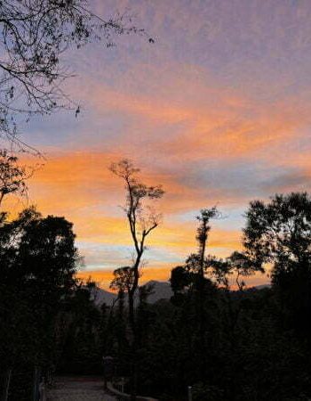 luxury pool villa in coorg