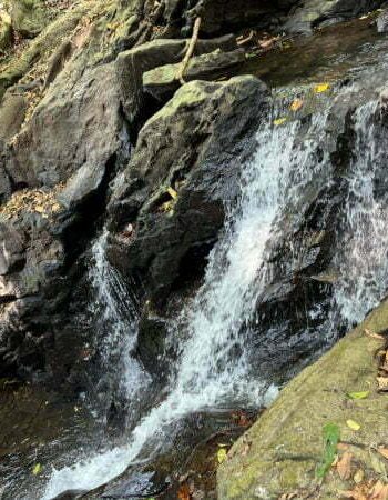 luxury pool villa in coorg nysa estate